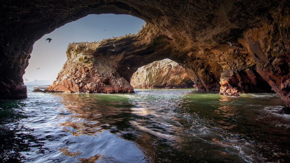 From Paracas: Ballestas Islands Guided Tour