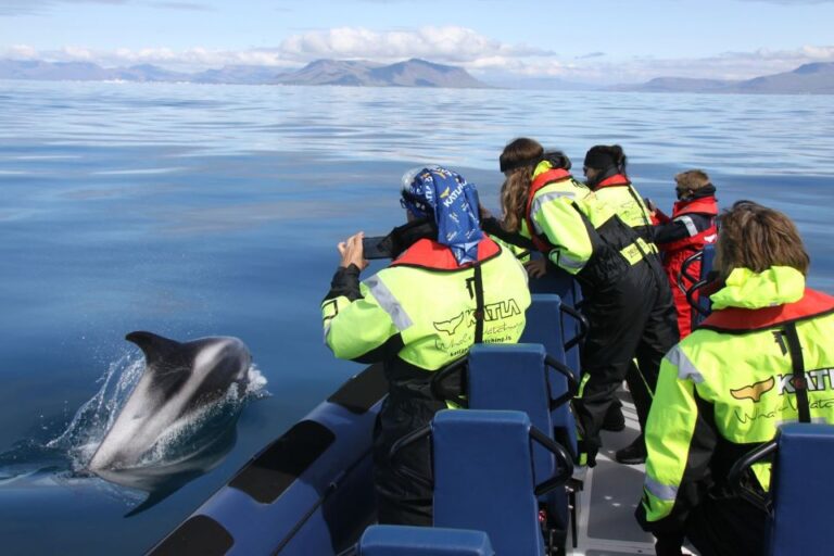 From Reykjavik: Whale Watching Tour by Speedboat