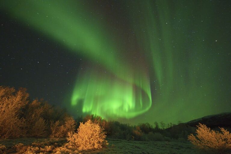 From Tromsø: Guided Northern Lights Photo Chase