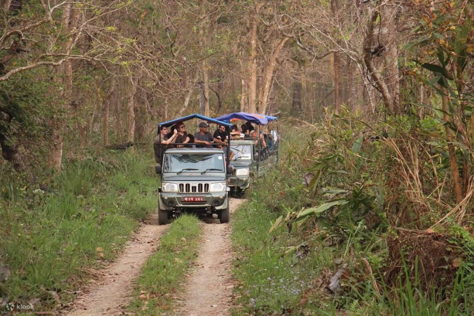 Full Day Jeep Safari in Chitwan National Park