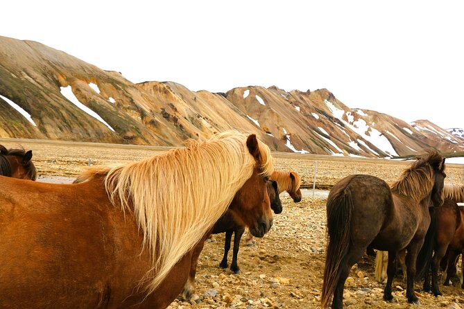 Full-Day Landmannalaugar & Háifoss Waterfall Tour With Hiking and Hot-Springs - Inclusions and Logistics