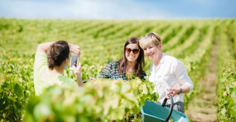 Full Day Pommery Small Group Tour