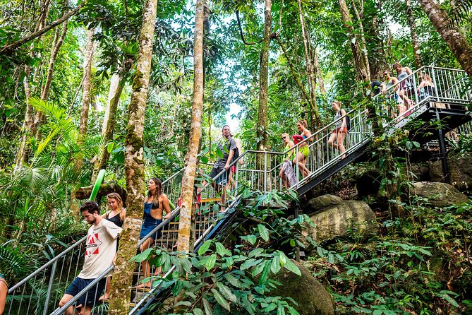 Fun, Falls and Forests Day Trip From Cairns - Overview of the Day Trip