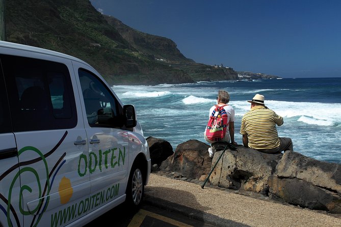 Get to Know the Teide National Park and the North of Tenerife on a Private Tour