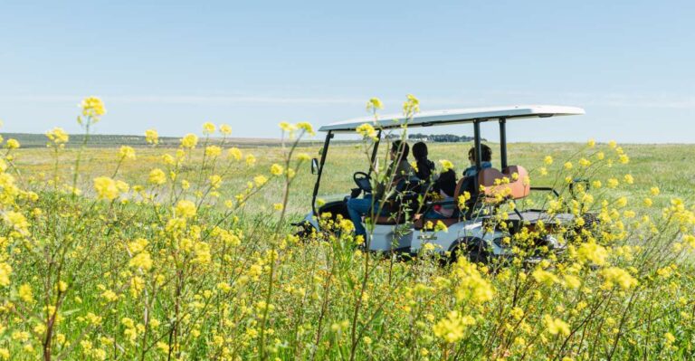 Golf Cart Tour and Aperitif in the Ancient Masseria