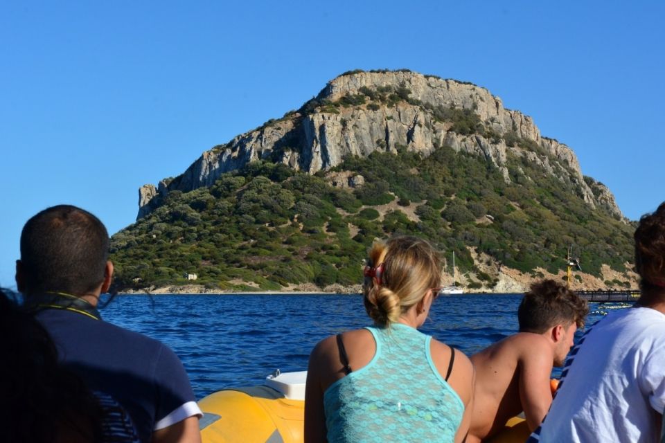 Golfo Aranci: Eco-Friendly Dolphin Watching Boat Trip - Overview of the Tour