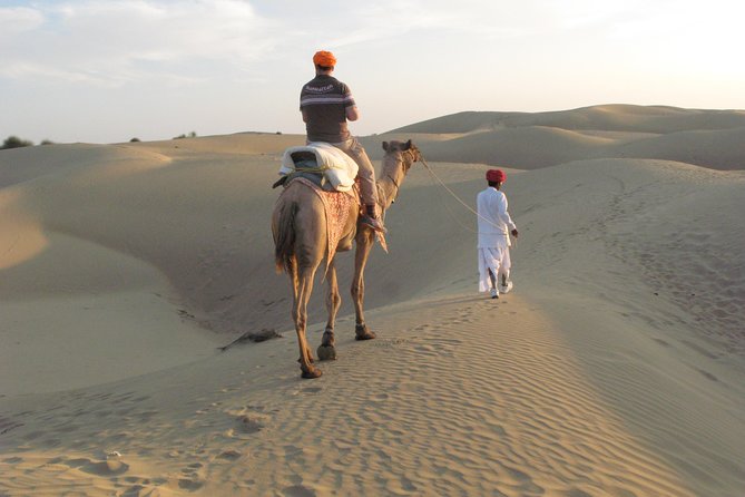 Half Day Sunset Camel & Cultural Adventure - Itinerary and Schedule