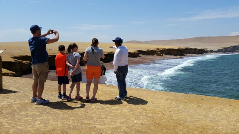 Half Day Tour: Ballestas Islands & Paracas Natural Reserve