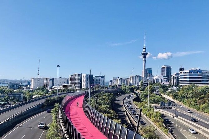 Hire A Driver To Experience Auckland Your Way