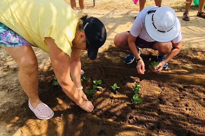 Hoi An Local Market and Vegetable Village Cooking Class - Experience the Local Market