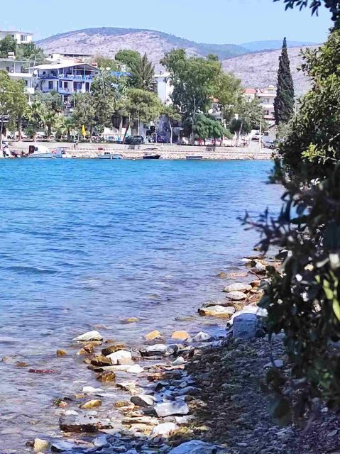 Iasos & Ancient Fish Market Tour