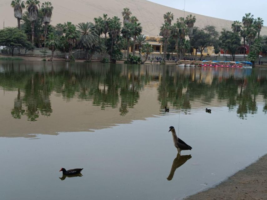 ICA: City Tour of Ica and Huacachina - Tour Overview and Pricing