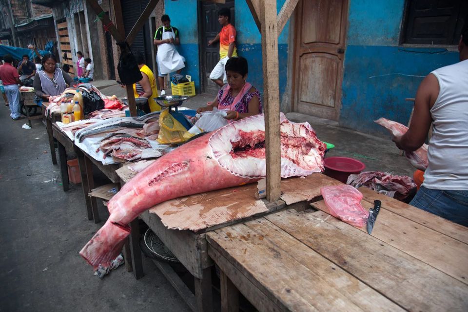 Iquitos: Visit the Exotic Belén Market + Venice Loretana - Overview of the Tour