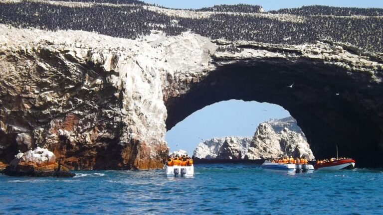 Islas Ballestas Boat Tour – The Galapagos of Peru