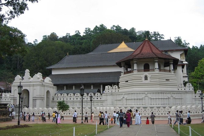 Kandy Day Trip With Tooth Relic Temple & Unique Attractions - Overview of Kandy Day Trip