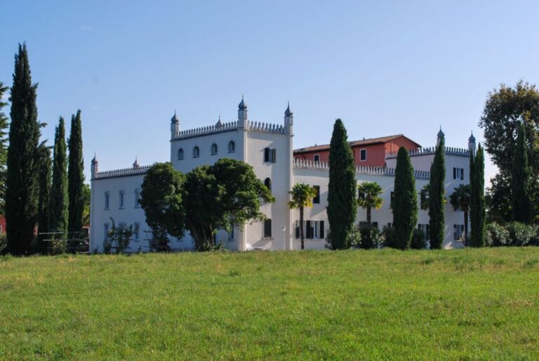 Lazise: Guided Wine Tour With Lake Views at a Historic Villa