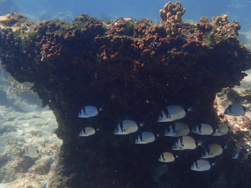 Lefkada to Lefkada 7 Day Scuba Diving Sailing Tour - Recap