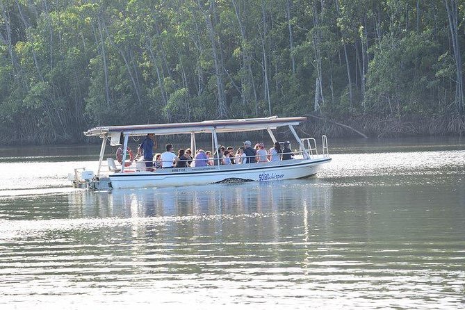 Luxury Daintree - Cape Tribulation Tour From Port Douglas - Tour Overview and Highlights