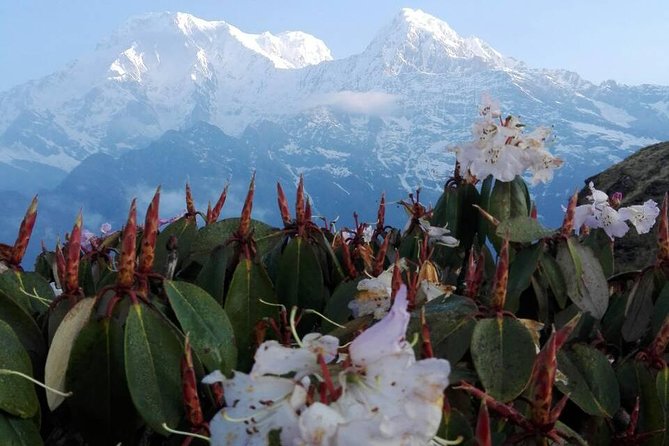 Mardi Himal Trek – 12 Days