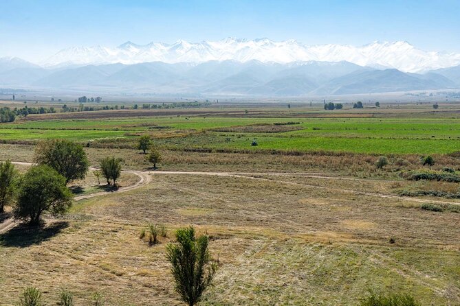 Medieval Burana Tower and Bishkek City Tour - Overview of the Tour