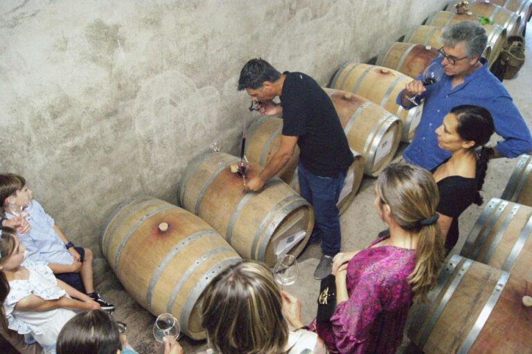 Monforte D’alba: Winery Tour, Wine Tasting and Panorama