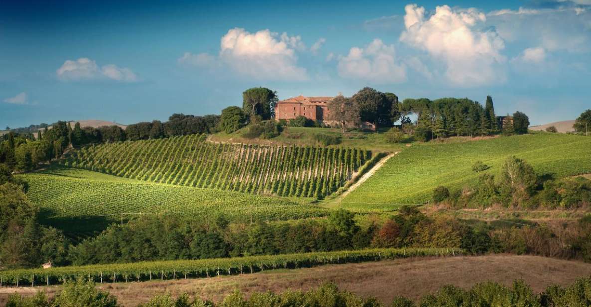 Montalcino: Brunello Wine Tasting Experience - Booking and Cancellation