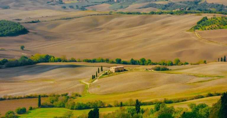 Montepulciano: Wine Tasting & Lunch in a Typical Winery