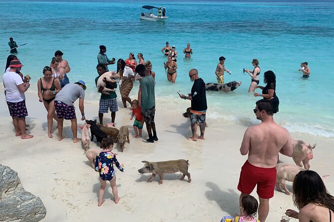 Nas: 3 Islands, Snorkeling, Pig Beach , Turtles & Lunch Boat Trip - Important Tour Information