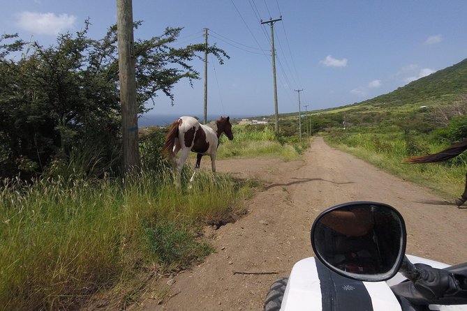 Off Roading Morning Excursion