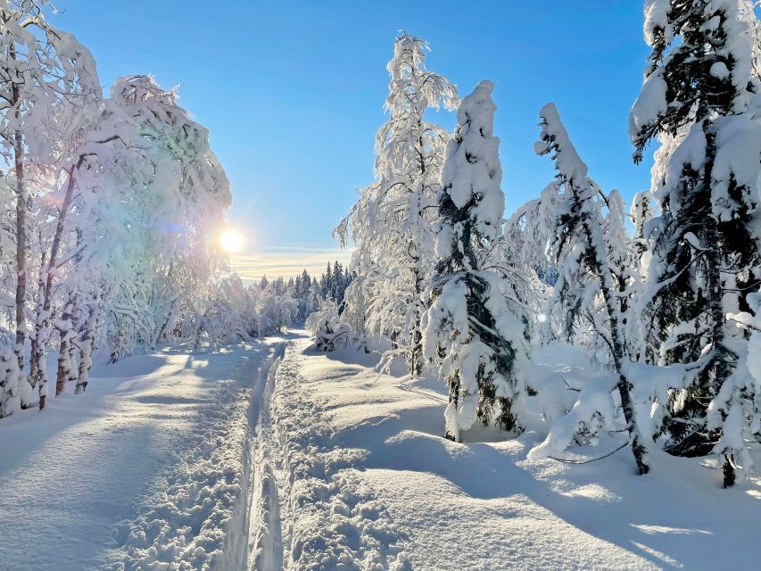 Oslo: Snow Hike to Vettakollen With Oslofjord Winter View - Whats Included in the Tour