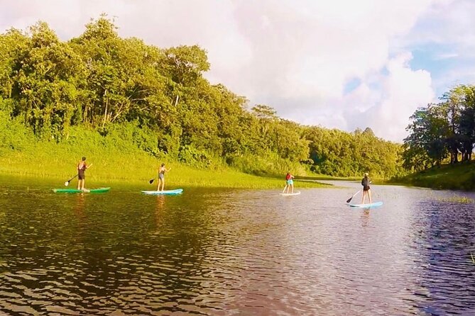 Paddle Board Private Tour Nuevo Arenal, Lake Arenal - Meeting Point Details