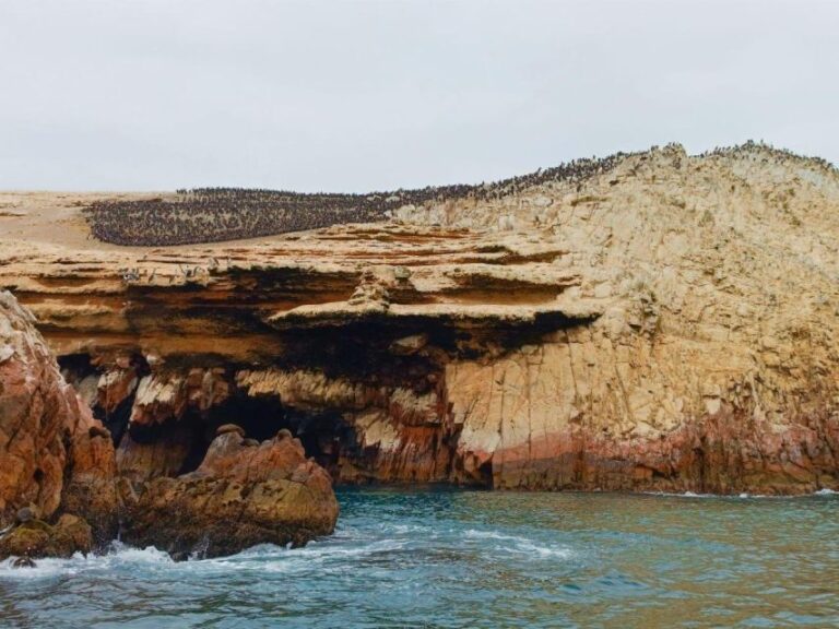 Paracas: Ballestas Islands & Paracas National Reserve