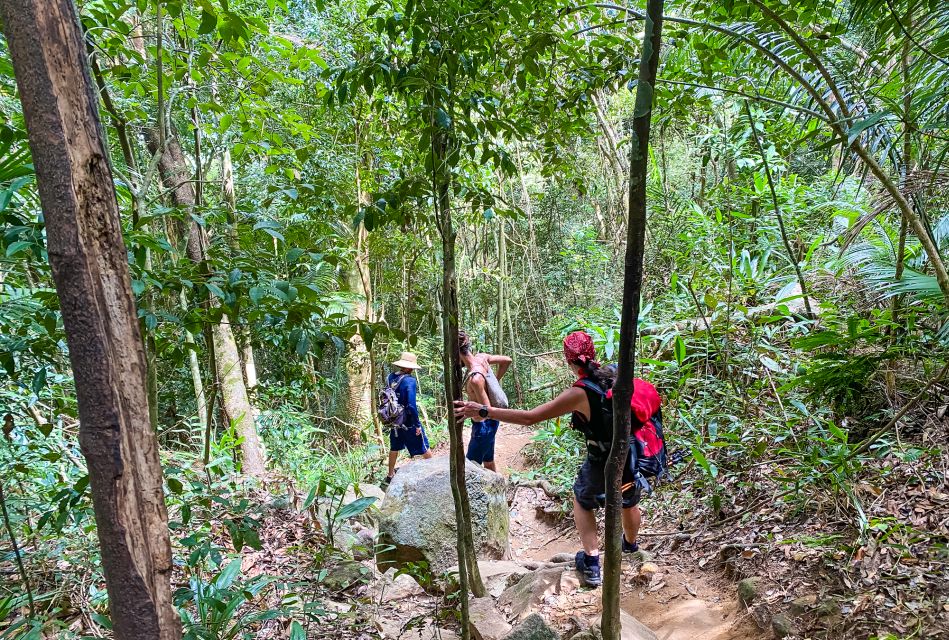 Paraty: Sugarloaf Peak Trekking and Hiking Tour