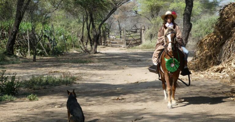 Peru, Chiclayo: 1 Day Horseback Riding and Ancient Pyramids