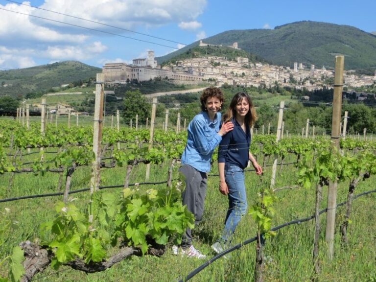 Pic Nic Deluxe Assisi and Wine Tasting 5 Wines