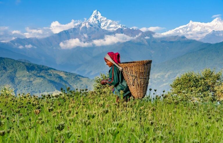 Pokhara: 9-Day Annapurna Circuit Trek