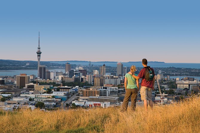 Private Auckland Luxury Tour - Itinerary Highlights