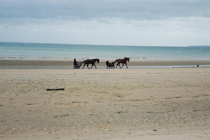 Private Day Tour Including Normandy Landing Beaches & Battlefields From Caen