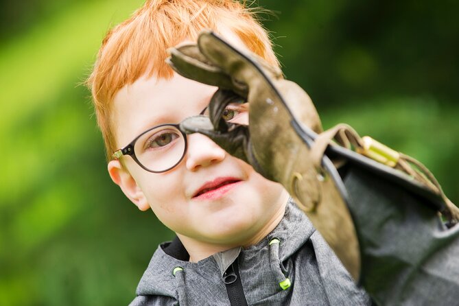 Private Family Bird of Prey Experience in Carlisle