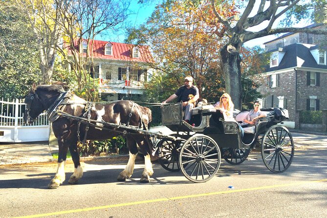 Private Historic Horse & Carriage Tour of Charleston