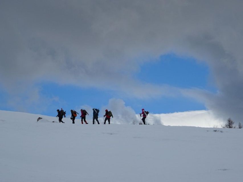 Private Snowshoeing Night Trip and Dinner in a Refuge