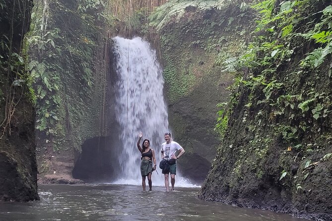 Private Tour Ubud: Swing at Rice Field With Temple and Waterfall