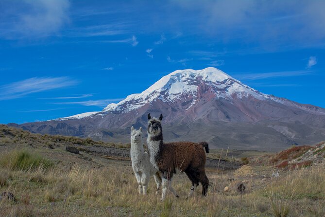 Quito to Cuenca 4 or 5-Day Tour With Cotopaxi, Quilotoa, Baños and Chimborazo - Itinerary Overview