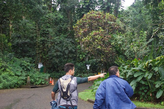 Rainforest Waterfall Trail and Shuttle Service