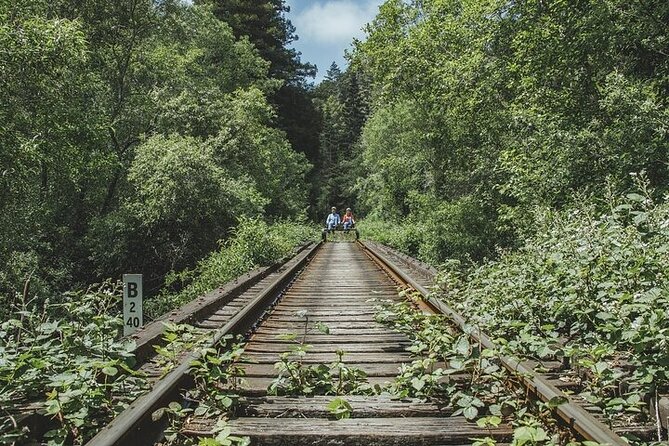 Redwoods Railbike Along Pudding Creek