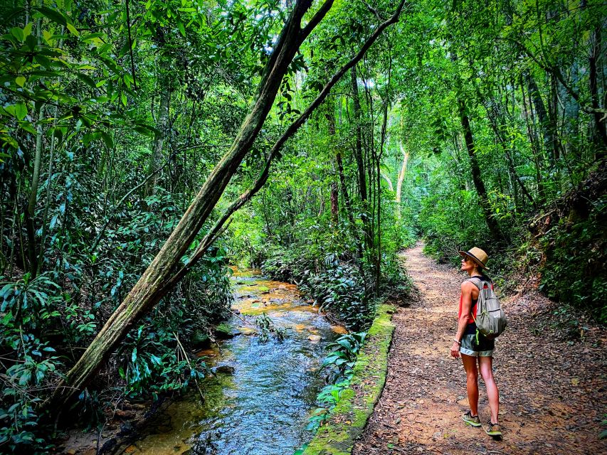 Rio De Janeiro: Eco City Tour - Overview of the Eco City Tour