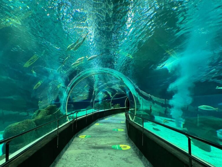 Rio De Janeiro: Marine Aquarium Entry Tickets