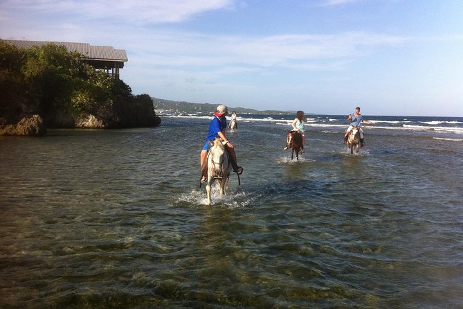 Roatan Excursion: Horseback Ride / Plus Sloth Park and Beach Break