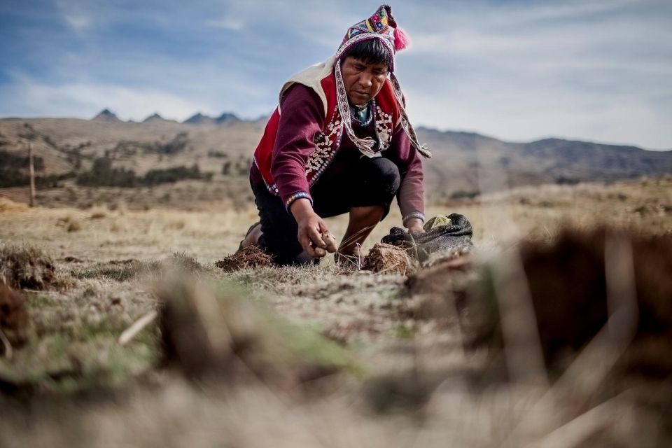 Rural Tourism in the Potato Park – Sacred Valley