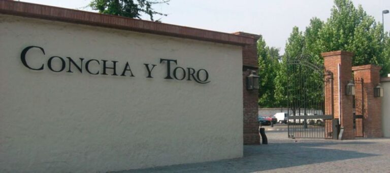 Santiago: Concha Y Toro Winery 4-Hour Tour & Sommelier Class